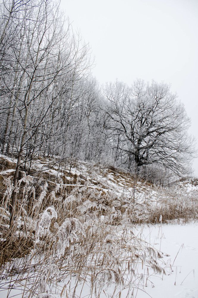 Photograph by Игорь Симонов