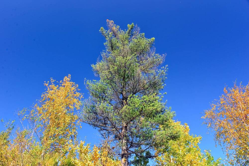 Photograph by БОРИС АНТОНОВ