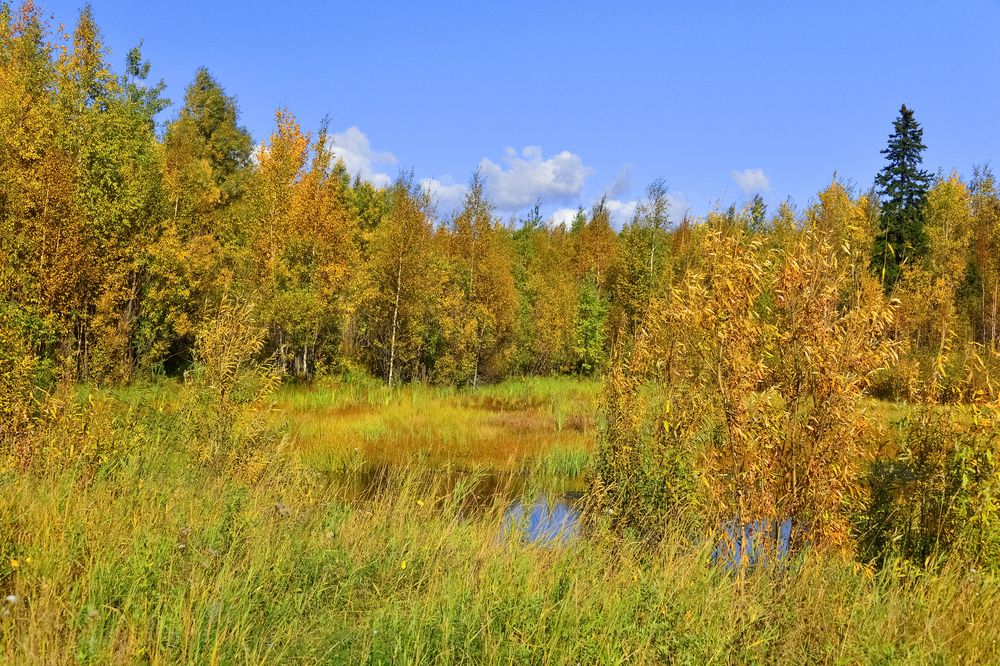 Photograph by БОРИС АНТОНОВ