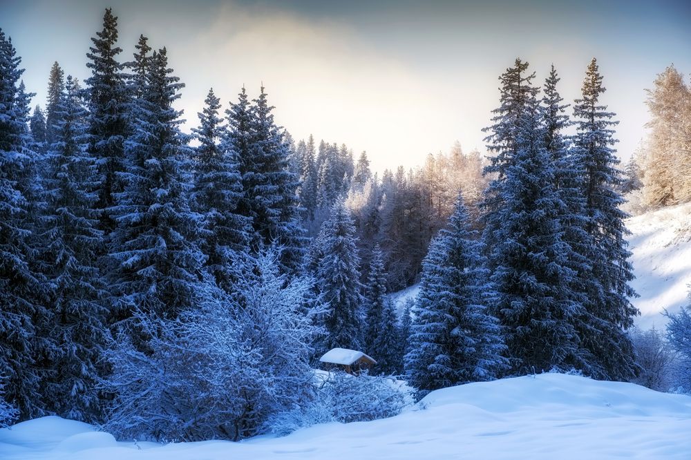 Photograph by Светлана Краюшкина