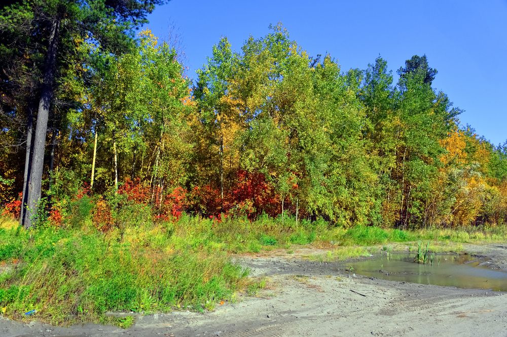 Photograph by БОРИС АНТОНОВ