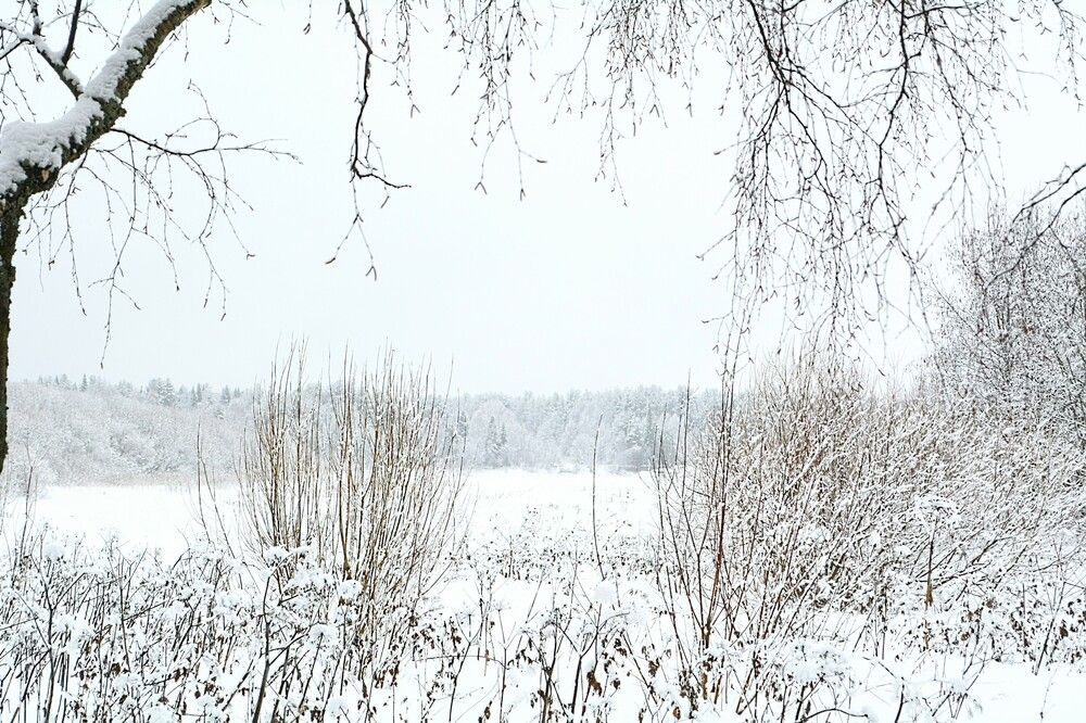 Photograph by София Бояринцева