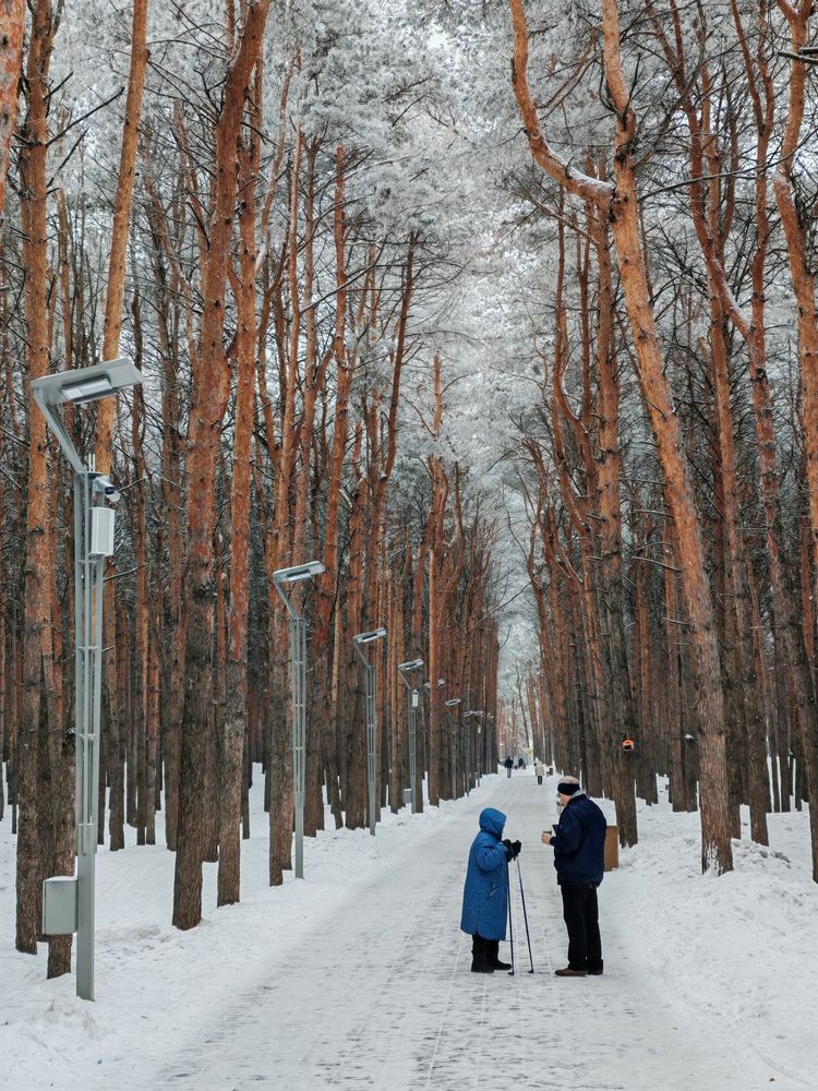 Photograph by Олега Тор