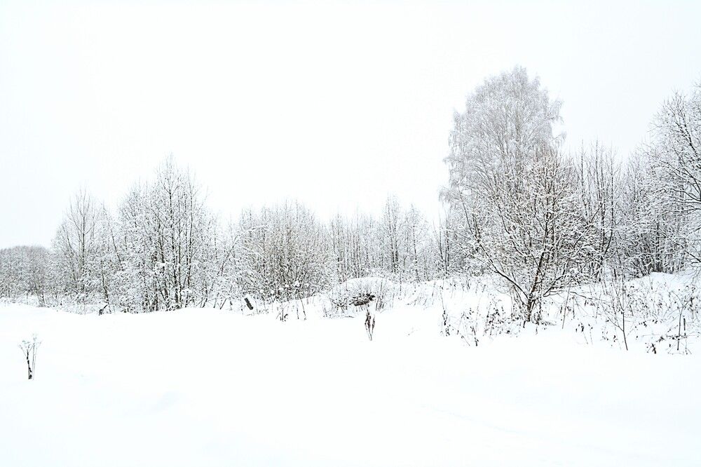 Photograph by София Бояринцева