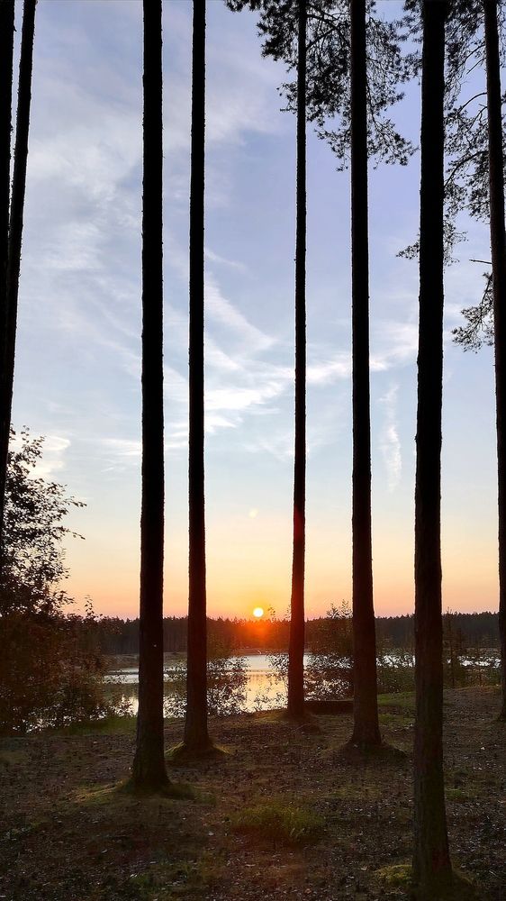 Photo #11835849