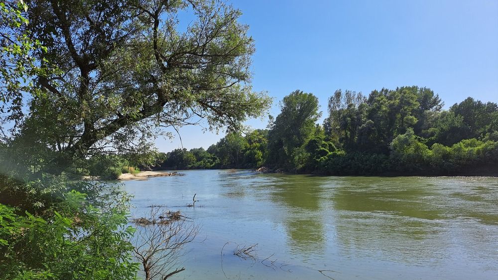 Photograph by Anna Volodina