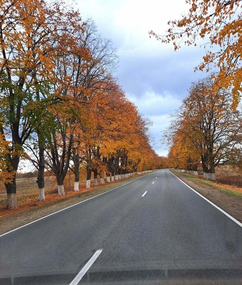 Photograph by Anna Volodina