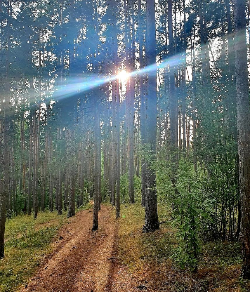 Photograph by Александра Борисовна