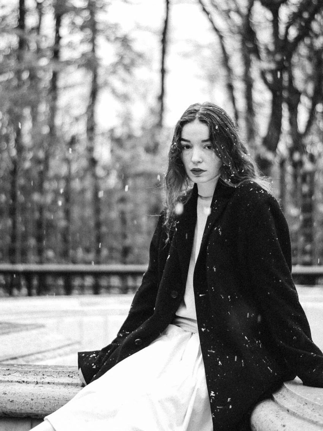 Photo #11835865