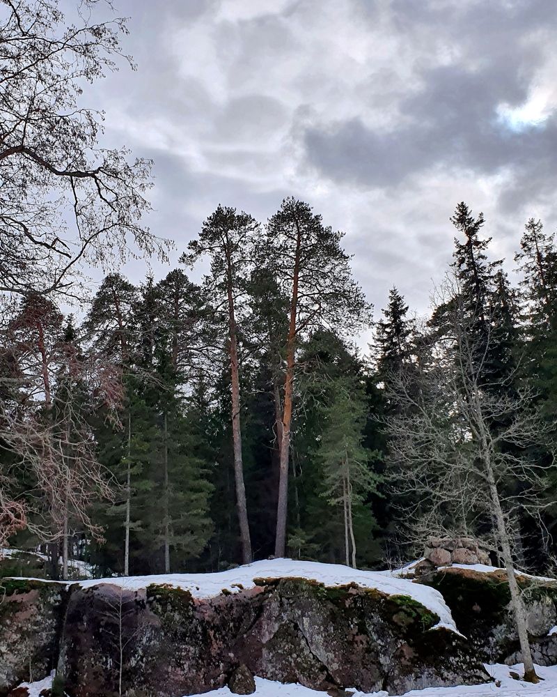 Photograph by Александра Борисовна