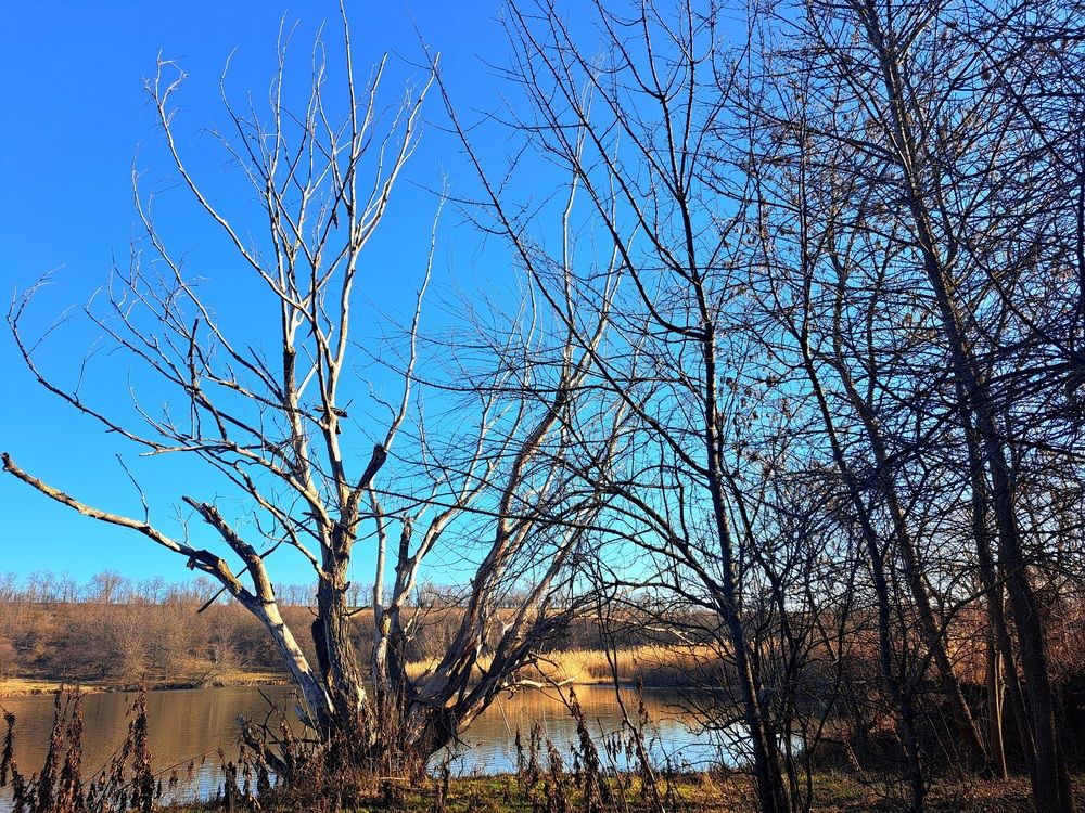 Photograph by Anna Volodina