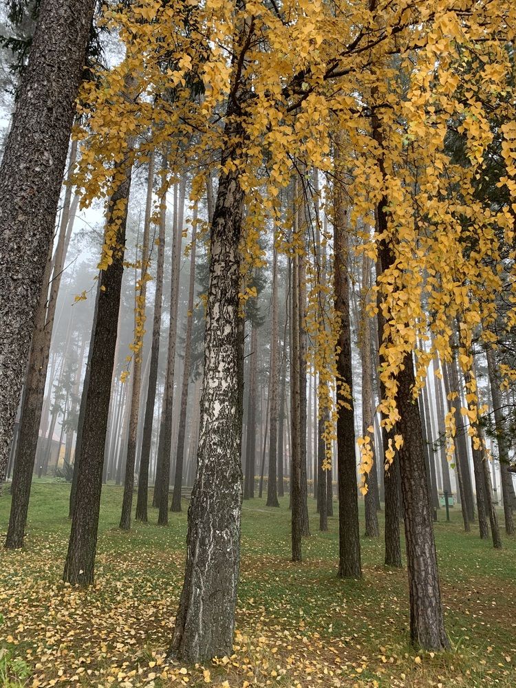 Photograph by Ольга Гаязова