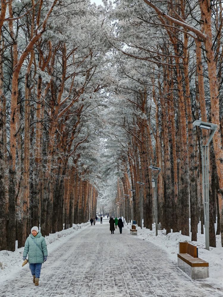 Photograph by Олега Тор