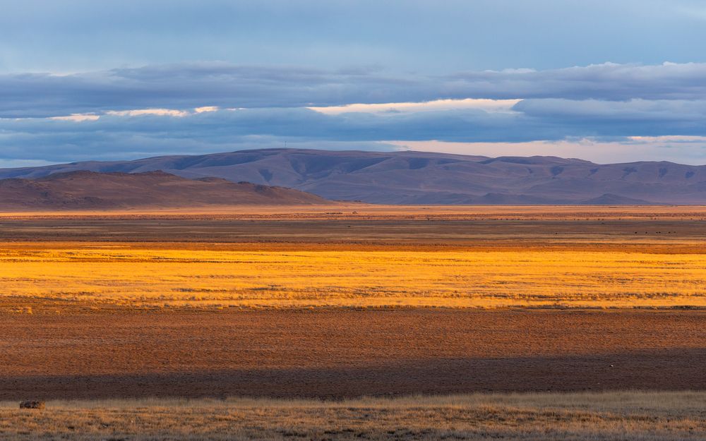 Photograph by Ирина Кудрина