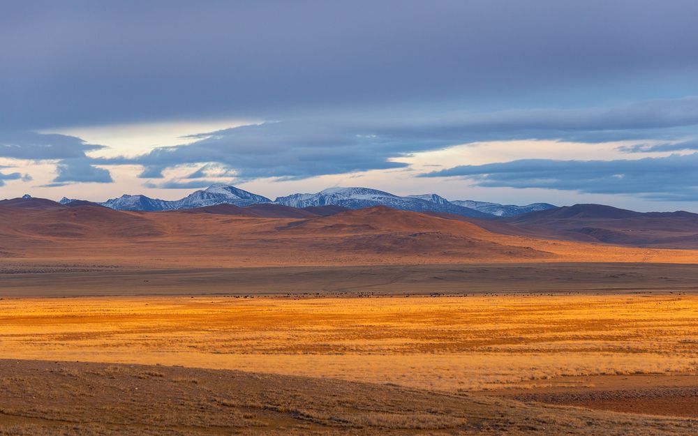 Photograph by Ирина Кудрина