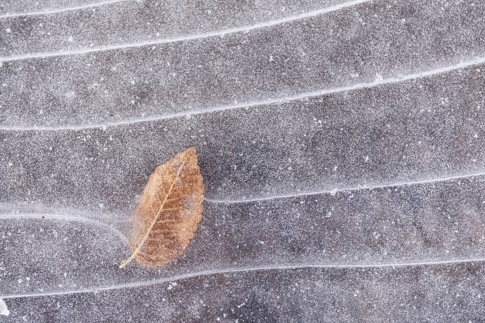 Photograph by Светлана Краюшкина