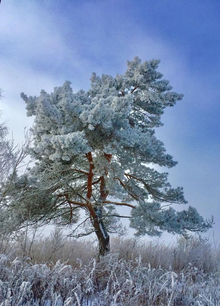 Photograph by Наталия Орехова