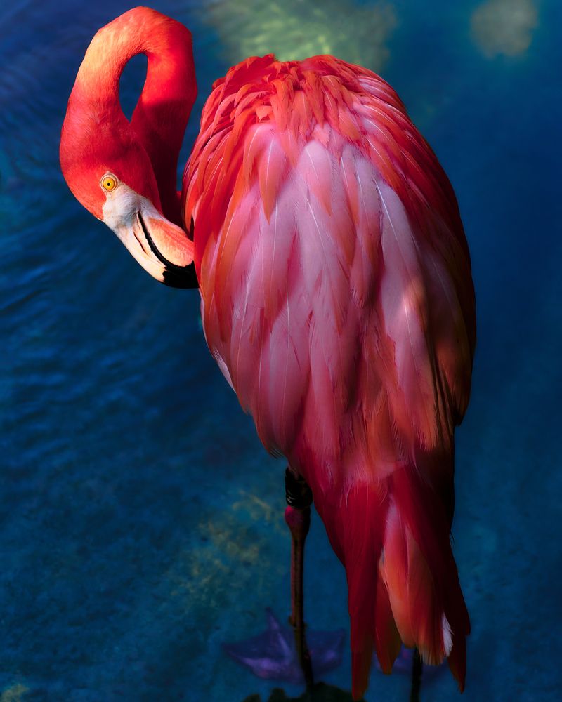 Photograph by Nani Payares