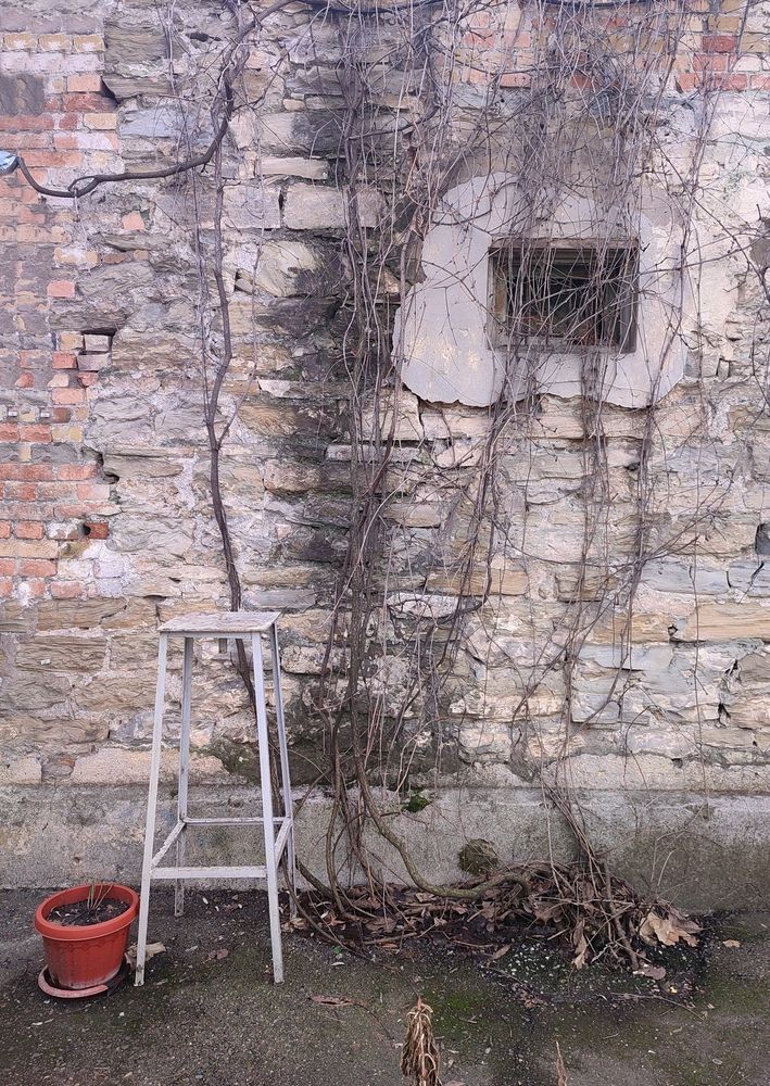 Photograph by Сергей Христинич