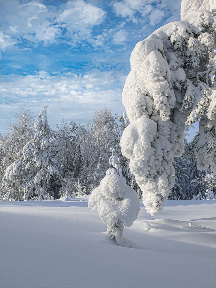 Photograph by Алексей Мякота