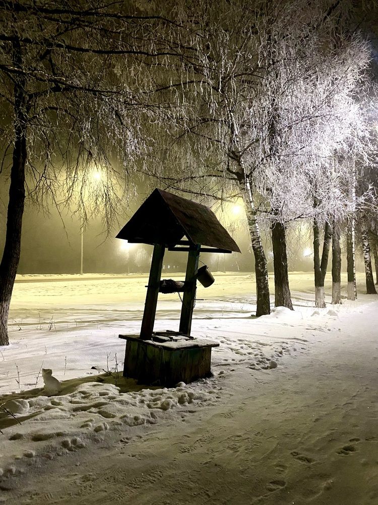 Photograph by Ольга Демашова