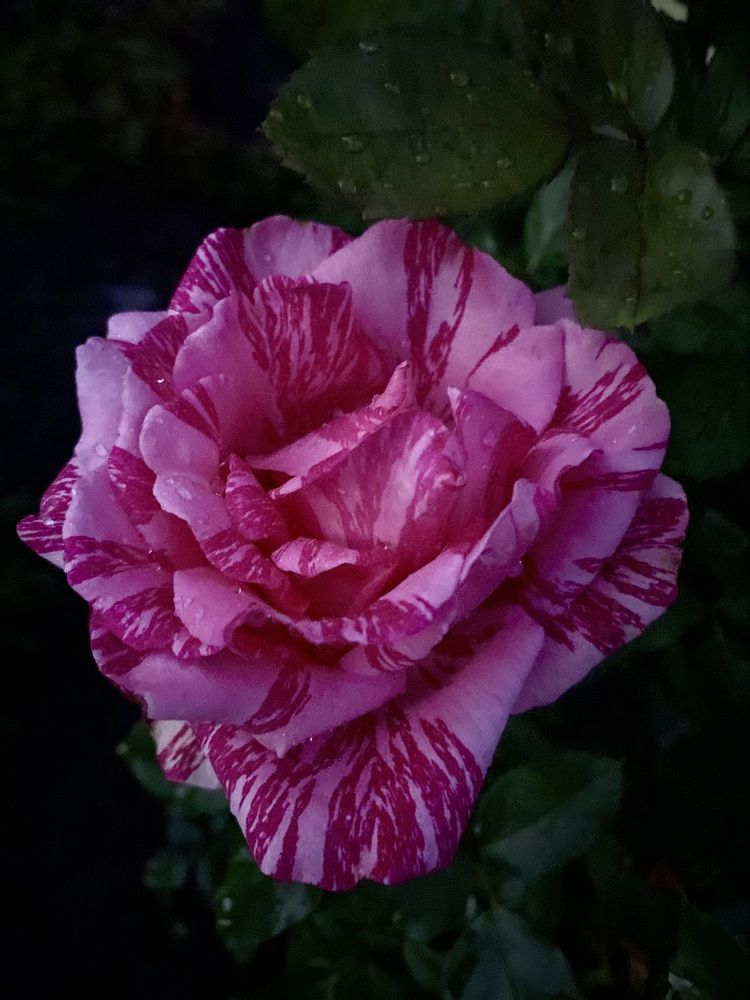 Photograph by Ольга Демашова