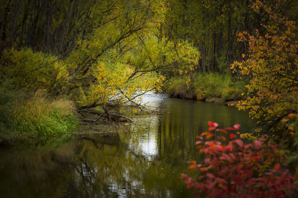 Photograph by Алексей Мякота