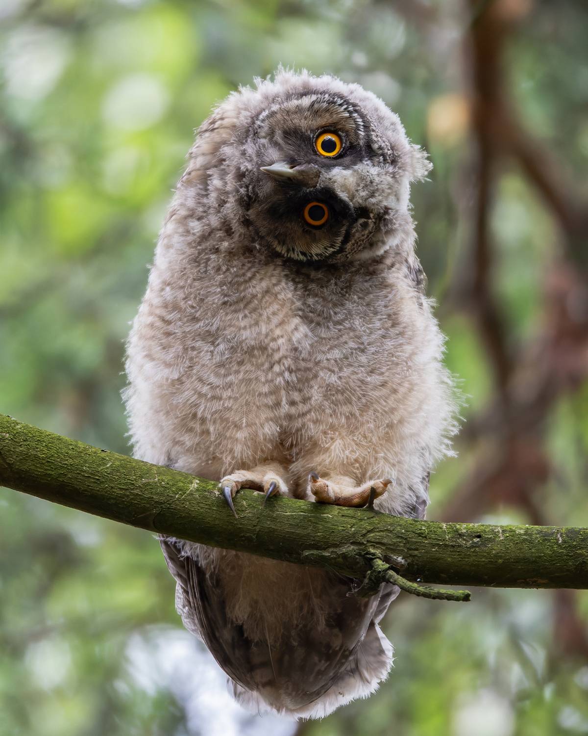 Фотография #11836007