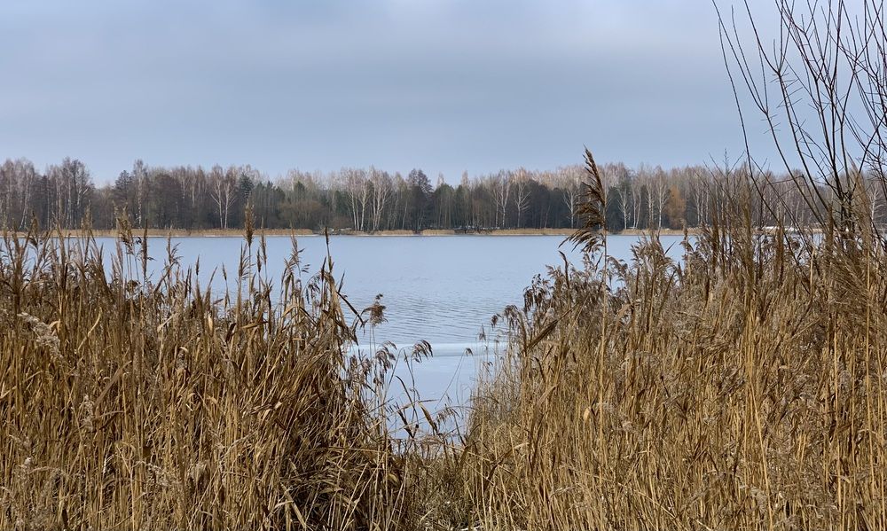 Photograph by Надежда Смирнова