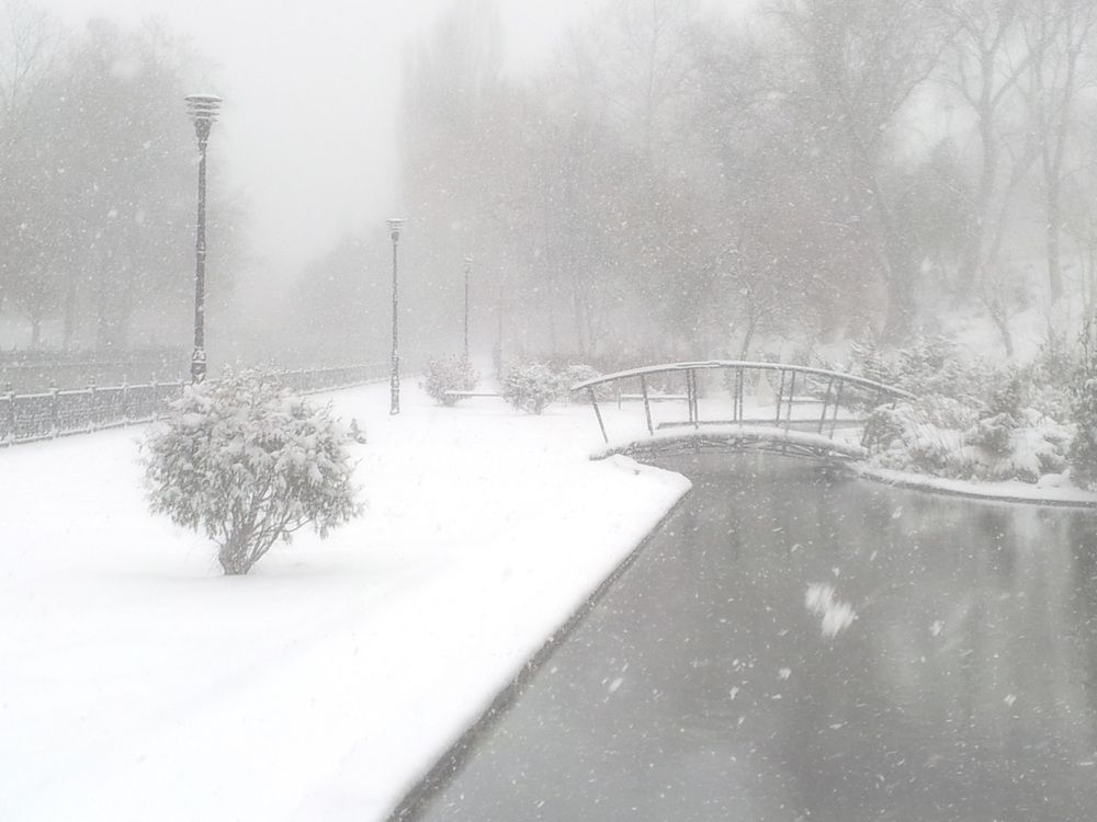 Фотография автора Марина Иванова