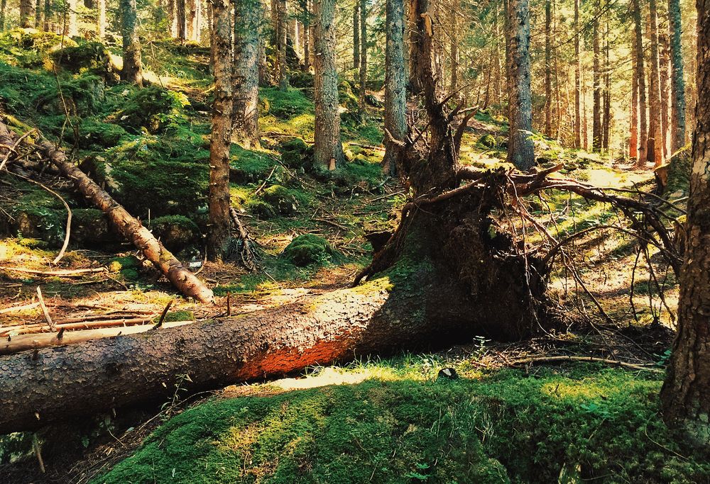 Photograph by Lana Cardi