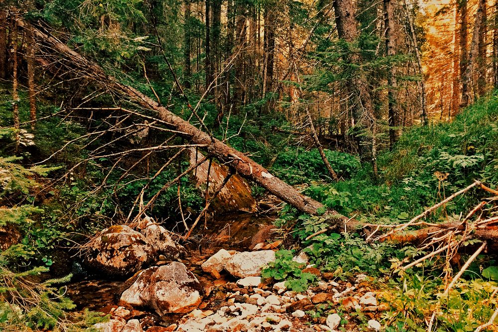 Photograph by Lana Cardi