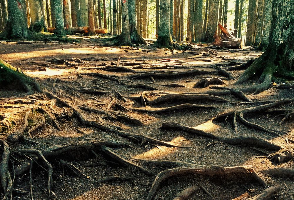 Photograph by Lana Cardi