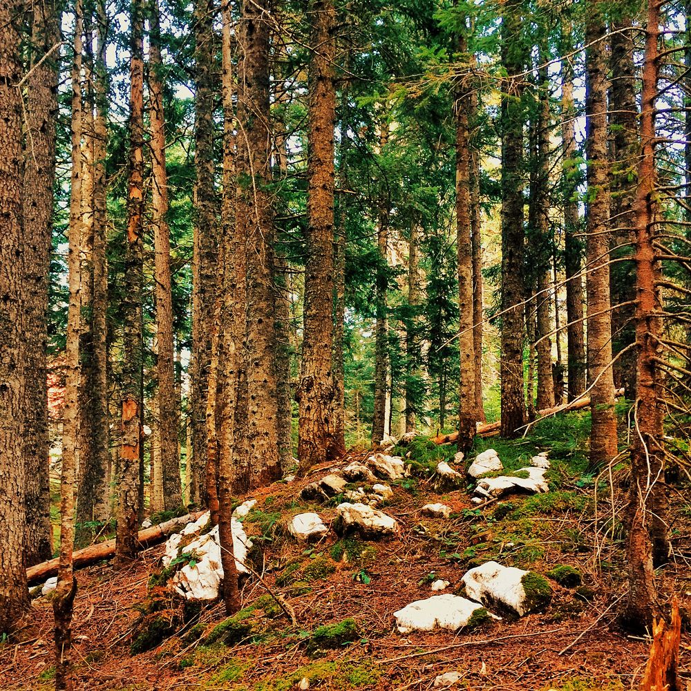 Photograph by Lana Cardi