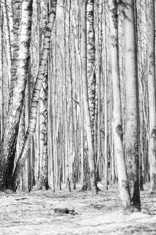 Photograph by Nadincca