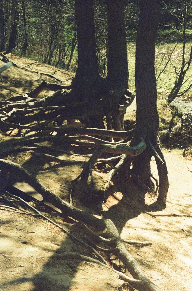 Photograph by Nadincca
