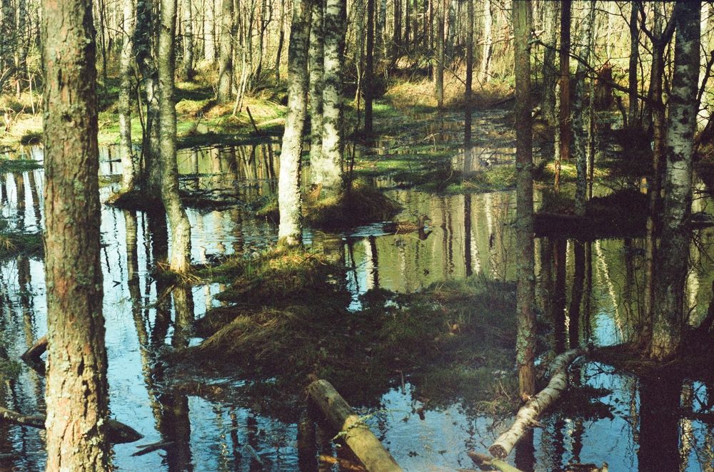 Photograph by Nadincca