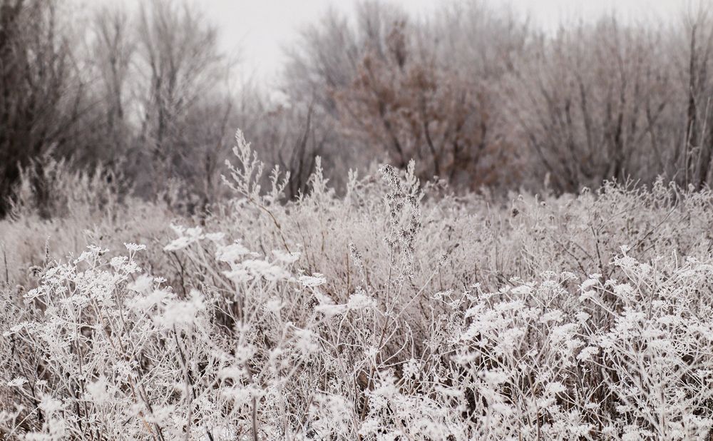Photograph by Евгения