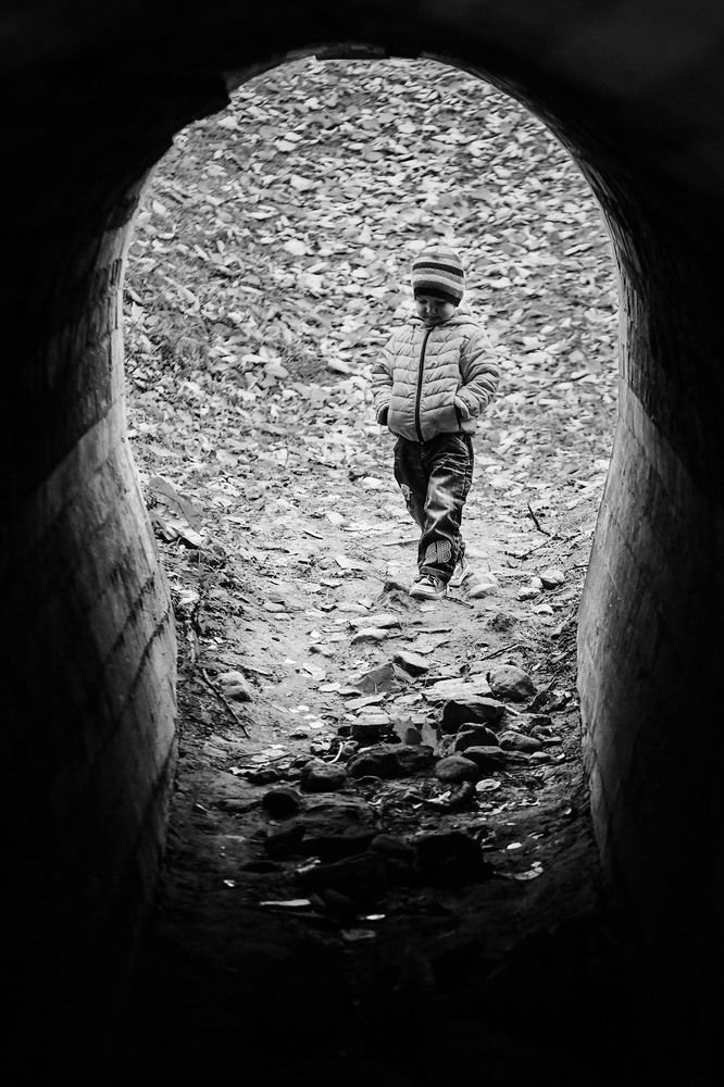 Фотография автора Totoro