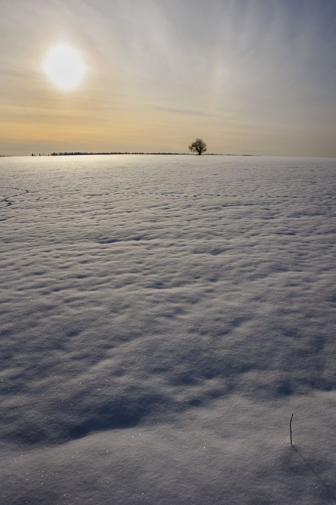 Фотография автора Злобин Сергей