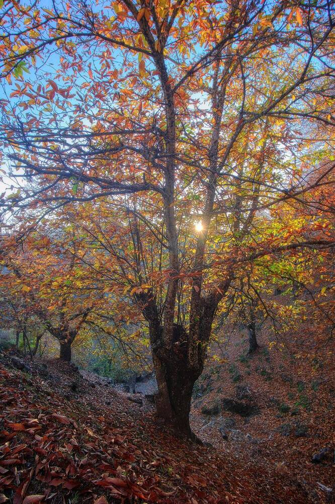 Photograph by Antonio Marquez Lanza