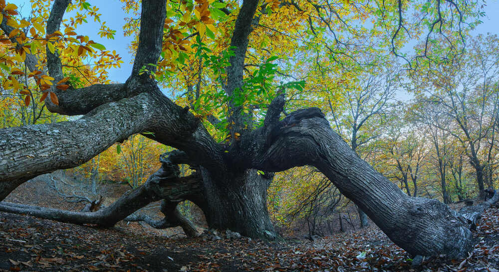 Photograph by Antonio Marquez Lanza