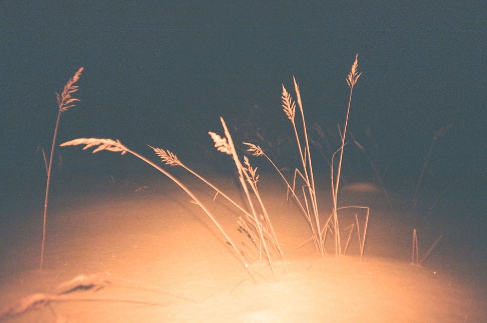 Я хочу быть с тобой