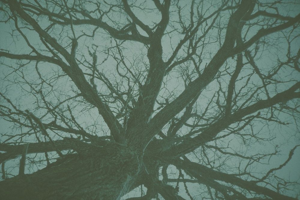 Распространение