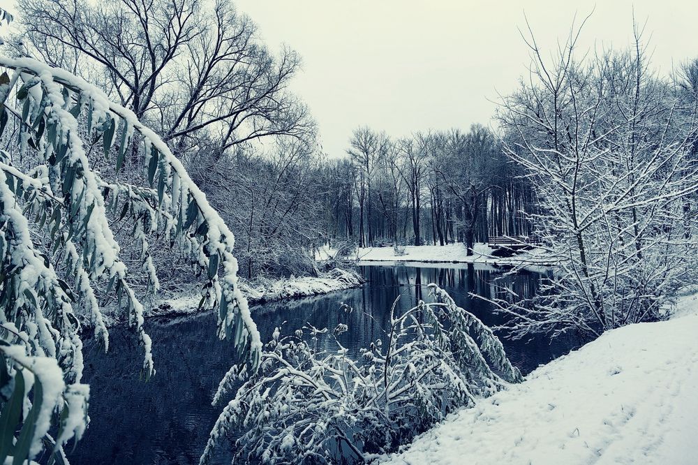 Photograph by Дмитрий Чебанов