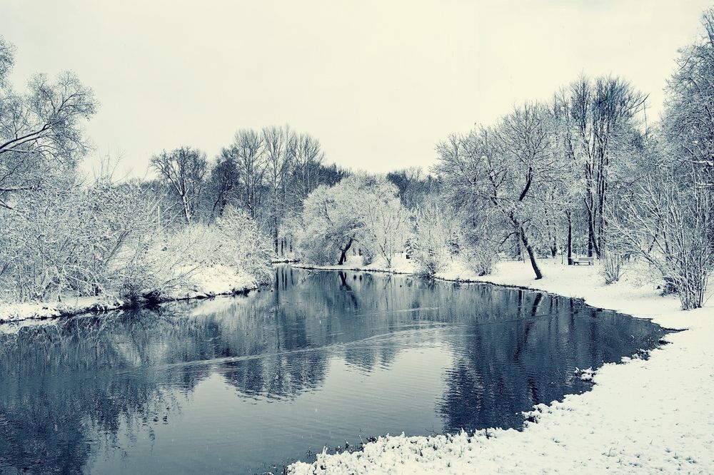 Photograph by Дмитрий Чебанов