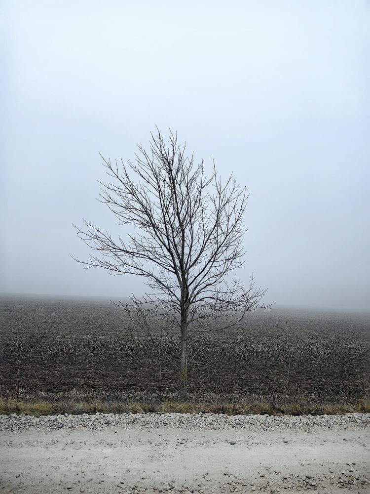 Photograph by Лейла Низамовна Кулиева