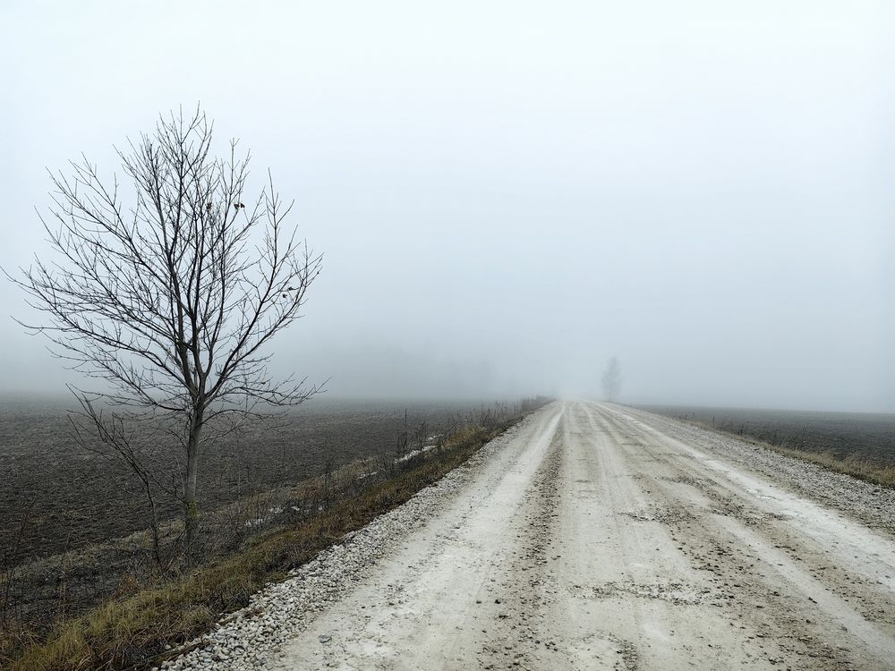 Photograph by Лейла Низамовна Кулиева