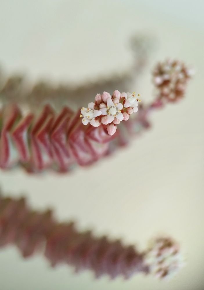 Photograph by Оксана Лоншакова