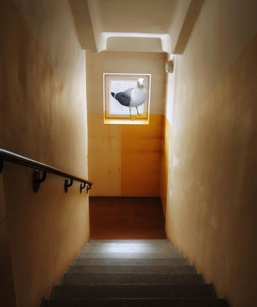 Photograph by Наталья Адалинская